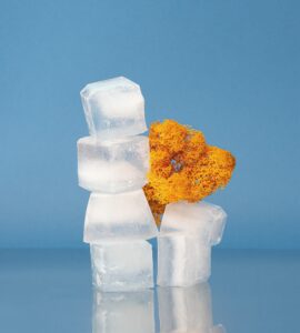 vendita pellets ghiaccio secco 16 mm Greve in Chianti