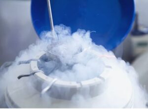 vendita pellets ghiaccio secco 16 mm per campioni biologici Sesto Fiorentino